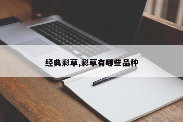经典彩草,彩草有哪些品种