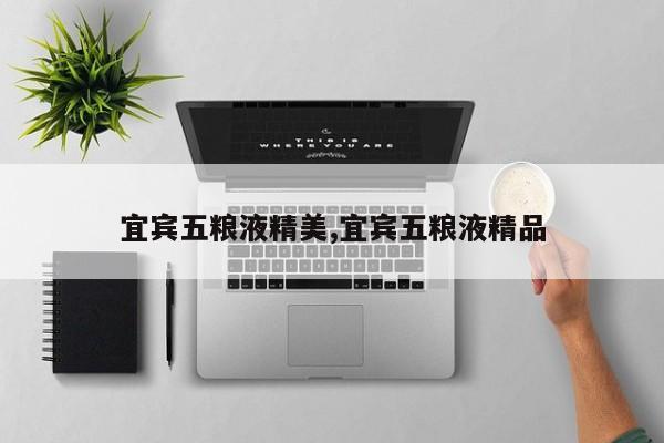 宜宾五粮液精美,宜宾五粮液精品