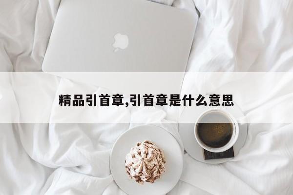 精品引首章,引首章是什么意思
